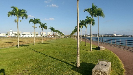 Image title Image title