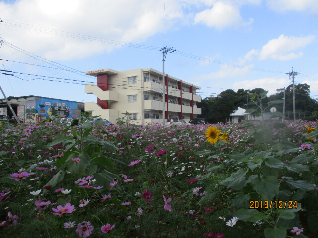 11758577/外観1